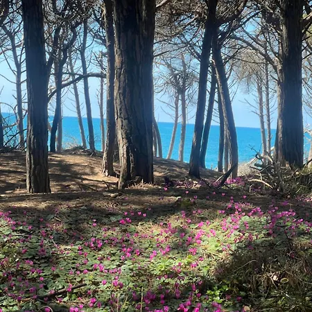 Lavinia 3* Montescudaio