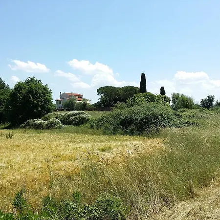 Oda ve Kahvaltı Lavinia 4*