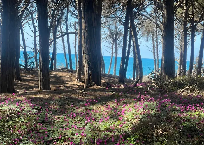 Lavinia 4* 몬테스쿠다이오