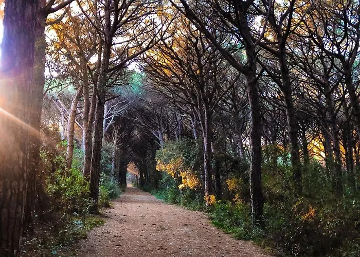 Lavinia 몬테스쿠다이오